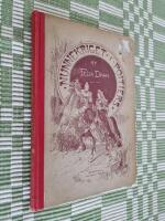 Nunnekriget i Poitiers - Historisk roman fr&aring;n folkvandringens tid