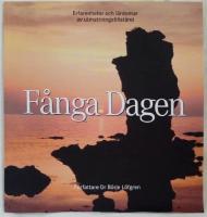 F&aring;nga dagen : Erfarenheter och l&auml;rdomar av utmattningstillst&aring;nd