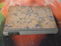 DEN SMALA V&Auml;GEN TILL LYCKAN