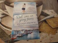 DET SOM EN G&Aring;NG FANNS