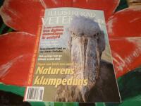 ILLUSTRERAD VETENSKAP, NR 6 - 1999