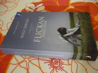 FLICKAN FR&Aring;N OVAN