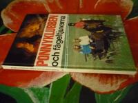 PONNYKLUBBEN OCH F&Aring;GELTJUVARNA 21