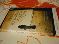 BRINNA BLI BR&Auml;ND GL&Ouml;DA IGEN