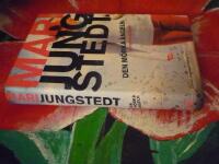 DEN M&Ouml;RKA &Auml;NGELN