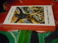 STRANDHUGG VID KARIBISKA SJ&Ouml;N