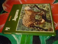 JAGUAREN
