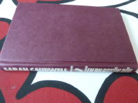 EN BILDSK&Ouml;N D&Ouml;D  