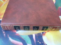 ETT SKRI I NATTEN , DOKTOR WERFIELDS DILEMMA , HANS V&Auml;N FLASH , DAMMEN  