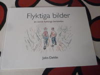 FLYKTIGA BILDER