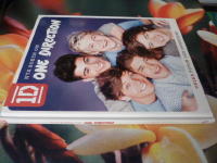 NYA BOKEN OM ONE DIRECTION, 1D
