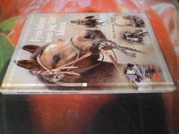 FYRA H&Auml;STAR SOM JAG L&Auml;RT K&Auml;NNA