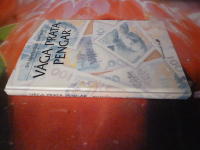 V&Aring;GA PRATA PENGAR