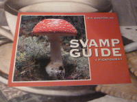 SVAMPGUIDE I FICKFORMAT