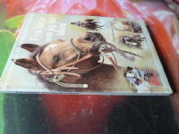 FYRA H&Auml;STAR SOM JAG L&Auml;RT K&Auml;NNA