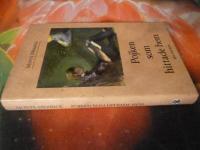 POJKEN SOM HITTADE HEM