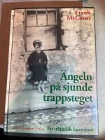 &Auml;ngeln p&aring; sjunde trappsteget - en irl&auml;ndsk barndom