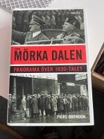 Den m&ouml;rka dalen - panorama &ouml;ver 1930-talet