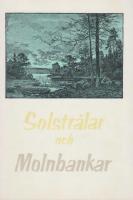 Solstr&aring;lar och molnbankar