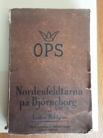 Nordenfeldtarna p&aring; Bj&ouml;rneborg. En v&auml;rml&auml;ndsk sl&auml;kthistoria