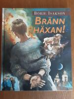 Br&auml;nn h&auml;xan! : En ber&auml;ttelse om den stora h&auml;xjakten p&aring; S&ouml;dermalm i Stockholm 1675-1676