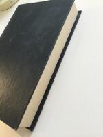 Segel av sten : Kriminalroman