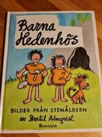 Barna Hedenh&ouml;s : [bilder fr&aring;n sten&aring;ldern]
