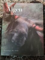 &Auml;lgen