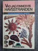 Vad jag finner p&aring; havsstranden