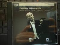 Great conductors of the 20th century - 2 cd set