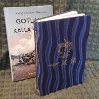 Gotland under kalla kriget : Sveriges bastion i &Ouml;stersj&ouml;n