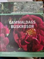 Gammaldags buskrosor