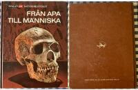 Fr&aring;n apa till m&auml;nniska