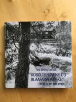 Koboltgruvene og blaafarvev&aelig;r̆ket : en del av den store verden