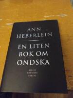 En liten bok om ondska