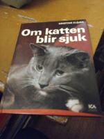 Om katten blir sjuk