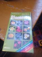 Blommor