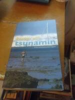 Sverige och tsunamin : katastrofkommissionens rapport SOU 2005:104