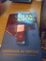 Dr&ouml;mmar av brons