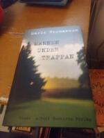 Mannen under trappan