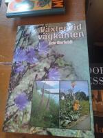 V&auml;xter vid v&auml;gkanten