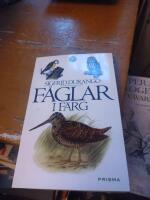 F&aring;glar i f&auml;rg