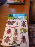 Vad jag finner i skogen