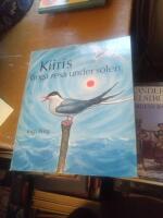 Kiiris l&aring;nga resa under solen