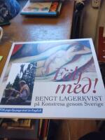 F&ouml;lj med! : Bengt Lagerkvist p&aring; konstresa genom Sverige = All our museums, great and small