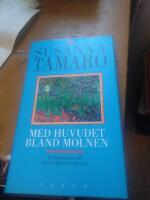 Med huvudet bland molnen