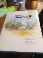 Kyrkor i Skara stift