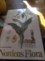 Nordens flora
