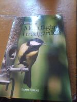 Mata f&aring;glar i tr&auml;dg&aring;rden