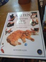Katten - sk&ouml;tsel och v&aring;rd